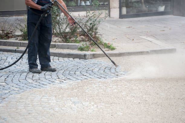 Best Pre-Holiday Cleaning  in Murphy, MO